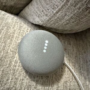Google Home Mini and the Google Nest Mini